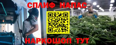 гидропоника Гусев